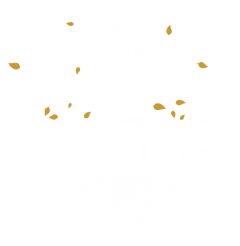 Anapilis.lt